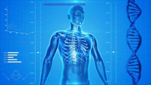 industrie pharmaceutique